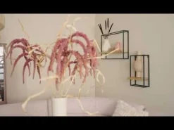 Draaibare Eetkamerstoel Selnass Roze