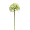 Kunstbloem Allium Groen - 62 cm