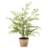 Kunstplant Adianthum Fern Groen - 65 cm hoog