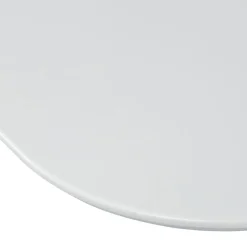 WOOOD Tafelblad Tablo Mist - 220x100 cm
